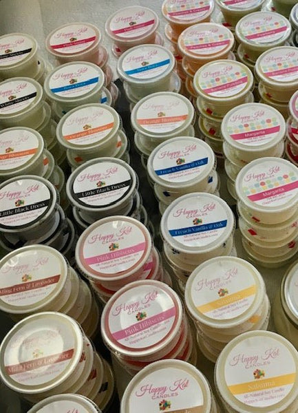 WAX MELTS- FRESH & CLEAN - Happy Kat Candles & Gifts